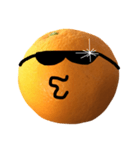 boring orange（個別スタンプ：11）