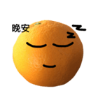 boring orange（個別スタンプ：12）