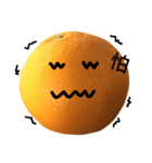 boring orange（個別スタンプ：18）