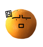 boring orange（個別スタンプ：23）