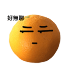 boring orange（個別スタンプ：24）