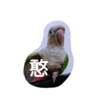 bird.....（個別スタンプ：3）