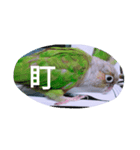 bird.....（個別スタンプ：5）