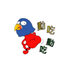 Bird guy（個別スタンプ：14）