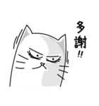 Drowsy cat's daily conversation（個別スタンプ：10）