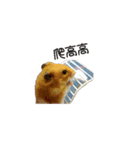 hungry hamster（個別スタンプ：3）