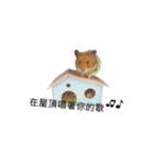 hungry hamster（個別スタンプ：4）