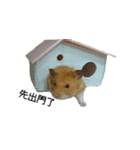 hungry hamster（個別スタンプ：6）