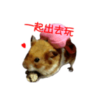 hungry hamster（個別スタンプ：7）