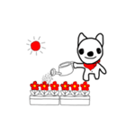 チワワの空と華7（個別スタンプ：5）