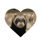 ferret..！（個別スタンプ：6）