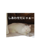 森家の日常 総集編（個別スタンプ：4）
