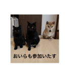 森家の日常 総集編（個別スタンプ：6）