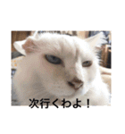 森家の日常 総集編（個別スタンプ：17）