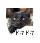 森家の日常 総集編（個別スタンプ：18）