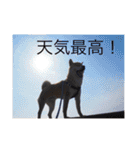 森家の日常 総集編（個別スタンプ：22）