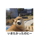 森家の日常 総集編（個別スタンプ：23）