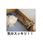 森家の日常 総集編（個別スタンプ：28）