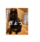 森家の日常 総集編（個別スタンプ：31）