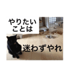 森家の日常 総集編（個別スタンプ：33）