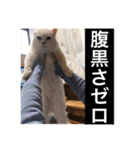 森家の日常 総集編（個別スタンプ：39）