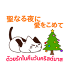 猫 : クリスマス＆ニューイヤー（個別スタンプ：13）