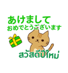 猫 : クリスマス＆ニューイヤー（個別スタンプ：30）