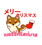 犬 : クリスマス＆ニューイヤー（個別スタンプ：5）