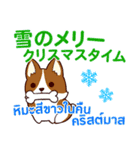 犬 : クリスマス＆ニューイヤー（個別スタンプ：7）