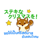 犬 : クリスマス＆ニューイヤー（個別スタンプ：15）