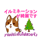 犬 : クリスマス＆ニューイヤー（個別スタンプ：17）