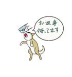 柴犬のルン（個別スタンプ：12）