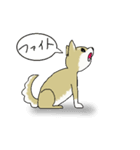 柴犬のルン（個別スタンプ：15）