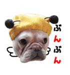 BOOGIE THE FRANCH BULLDOG！(japanese)（個別スタンプ：8）