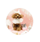 dog of life（個別スタンプ：11）