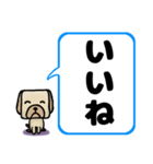 でか文字わんこ 大きな文字の日常会話（個別スタンプ：12）