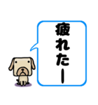 でか文字わんこ 大きな文字の日常会話（個別スタンプ：23）