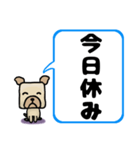 でか文字わんこ 大きな文字の日常会話（個別スタンプ：24）