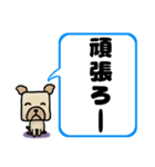 でか文字わんこ 大きな文字の日常会話（個別スタンプ：28）