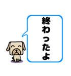 でか文字わんこ 大きな文字の日常会話（個別スタンプ：37）