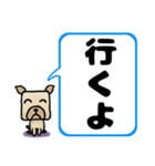 でか文字わんこ 大きな文字の日常会話（個別スタンプ：38）