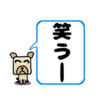 でか文字わんこ 大きな文字の日常会話（個別スタンプ：40）