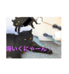 りある猫すたんぷ（日常使える①）（個別スタンプ：21）