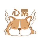 Corgi Pure - Cutie ＆ Lazy（個別スタンプ：1）