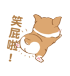 Corgi Pure - Cutie ＆ Lazy（個別スタンプ：3）