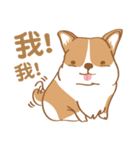 Corgi Pure - Cutie ＆ Lazy（個別スタンプ：6）