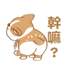 Corgi Pure - Cutie ＆ Lazy（個別スタンプ：7）