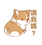 Corgi Pure - Cutie ＆ Lazy（個別スタンプ：8）