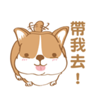 Corgi Pure - Cutie ＆ Lazy（個別スタンプ：9）