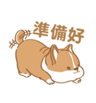 Corgi Pure - Cutie ＆ Lazy（個別スタンプ：11）